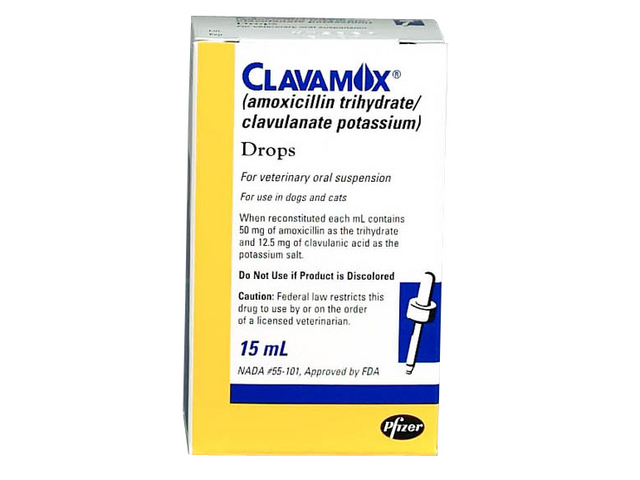 Clavamox Liquid