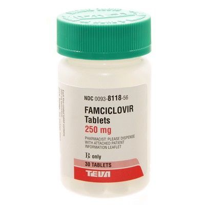 how to give a cat famciclovir