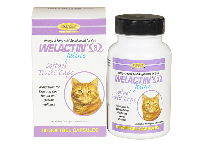 Welactin for Cats City Cat Pharmacy is available for clients only.