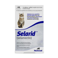 Selarid / Revolution