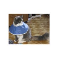 Soft Elizabethan Collar (E-collar)