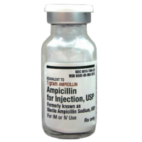 Injectable Ampicillin